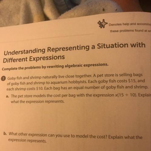 What is the answers I suck these type of questions