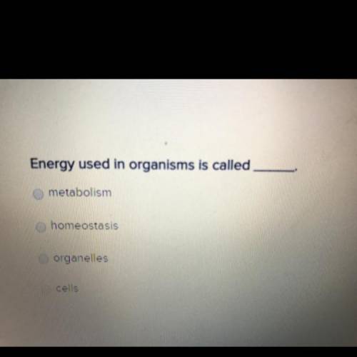 Energy used organisms is called?