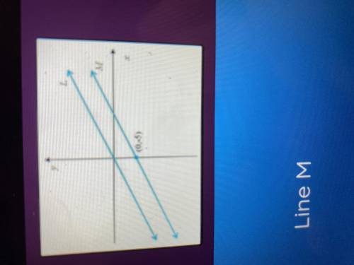 Which line shows a proportional relationship between x and y?