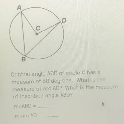 Central angle ACD of circle C has a measure of 50 degrees. What is the measure of arc AD? What is th