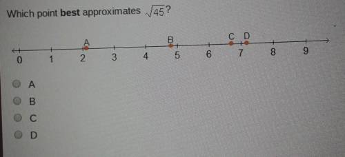 Which point best approximates the 45?
