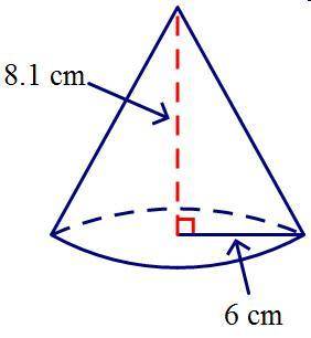 Find the volume of the cone. Round your answer to the nearest hundredth.