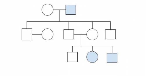 In the following diagram, what type of inheritance pattern is shown?