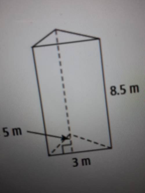 Solve the triangular base prism with work pls
