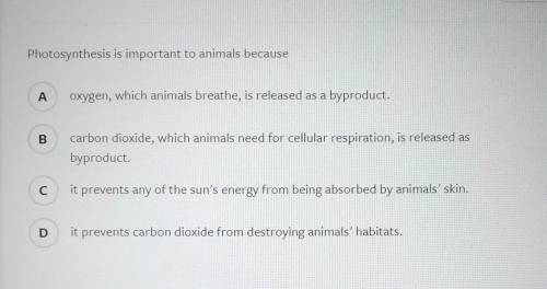Why is photosynthesis important to animalsSOMEONE ANSWER I Need it now.