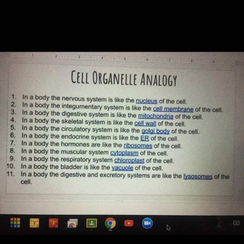 CELL ORGANELLE ANALOGY: CREATE YOUR OWN EXAMPLE SOME EXAMPLES YOU COULD USE (SCHOOL, FACTORY, CITY,