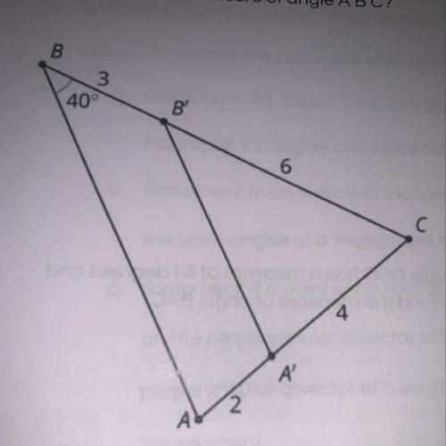 1. What is the measure of angle A'B'C? a. 20° b. 40° C. 60° d. 80°