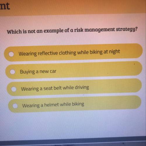 Which is not an example of a risk management strategy