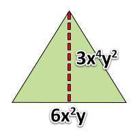 Hurry pls What is the area of this triangle? A) 9x6 y2  B) 9x6 y3  C) 9x8 y2  D) 18x6 y3
