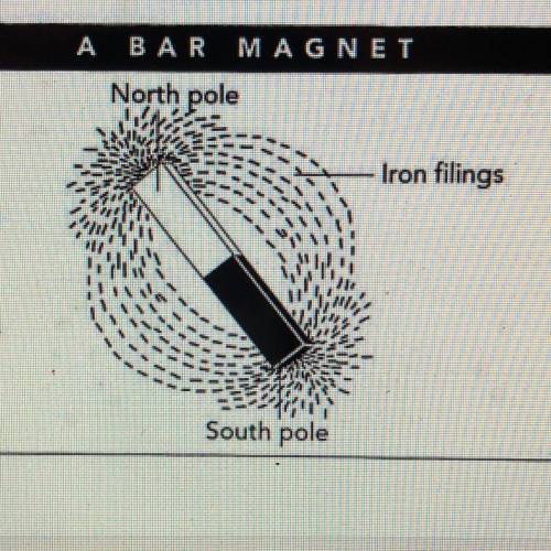 What do the iron filings around this magnet show?