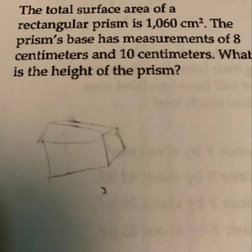 What’s the answer and don’t judge my shape please
