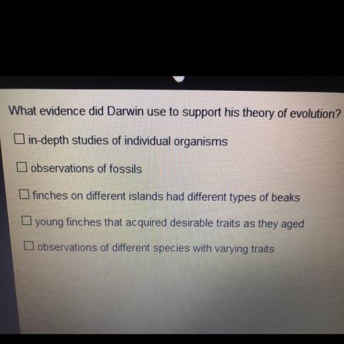 What evidence did darwin use to support his theory of evolution?