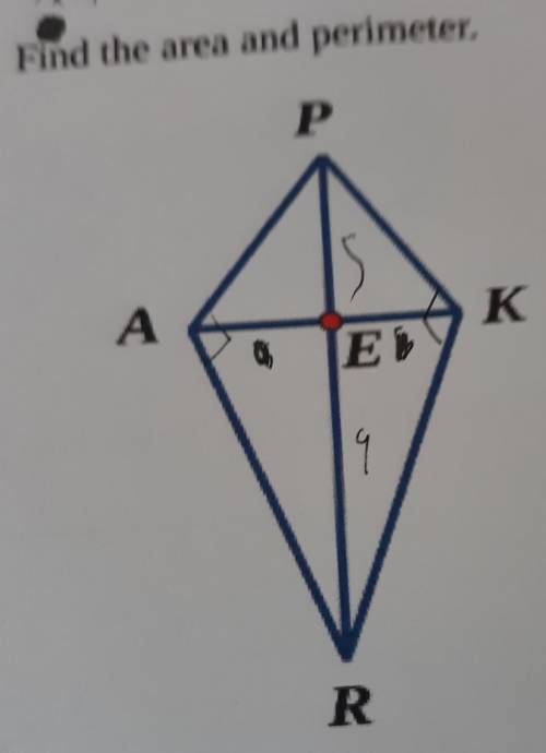 NEED answered fast!!Given: Kite PARKEPE = 5, ER = 9Angles PAR and PKR are right angles