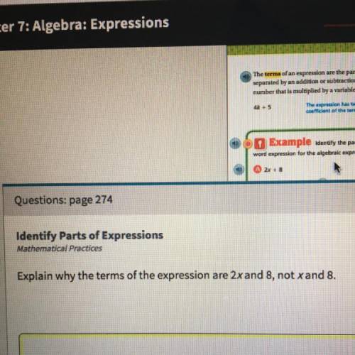 Explain why the term of the expression are 2x and 8 not x and 8?