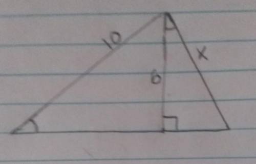 Using trigonometry find the value of x