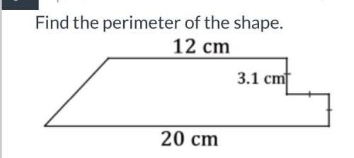 Find the perimeter for f the shape 12cm 3.1cm 20cm