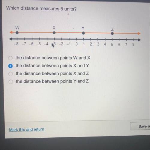 Which distance measures 5 units? -the distance between points Wand X -the distance between points X
