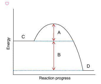 In the diagram, which letter represents the energy of the products?  A B C D