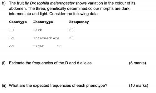 These questions are about frequencies of alleles, could someone please explain how to answer instead