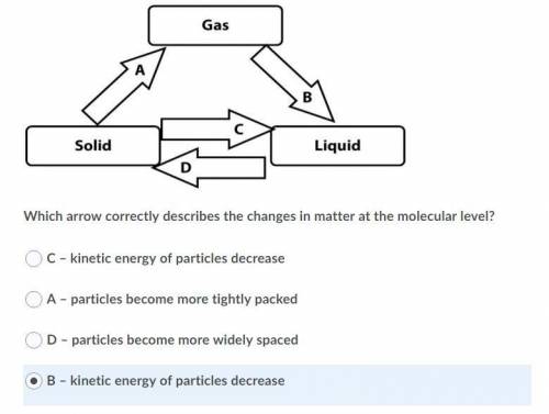 Which arrow correctly describes the changes in matter at the molecular level?