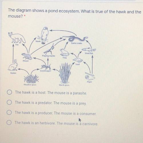 The diagram shows a pond ecosystem. What is true of the hawk and the mouse? The hawk is a host. The