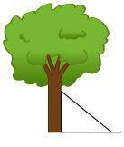A rope is being used to anchor a tree to the ground, as shown in the picture below. Which part of th