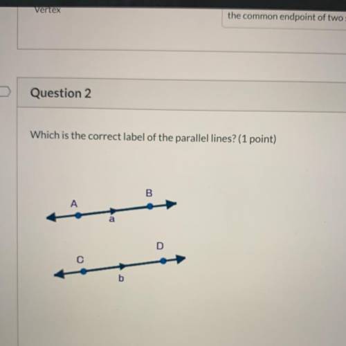 Question 2 1 p Which is the correct label of the parallel lines? (1 point) - alIb AA(Upside down T)C