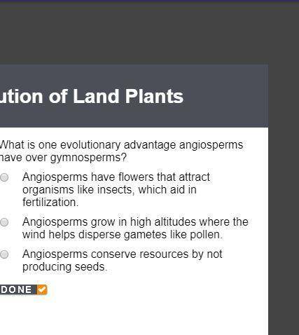 What is one evolutionary advantage angiosperms have over gymnosperms?