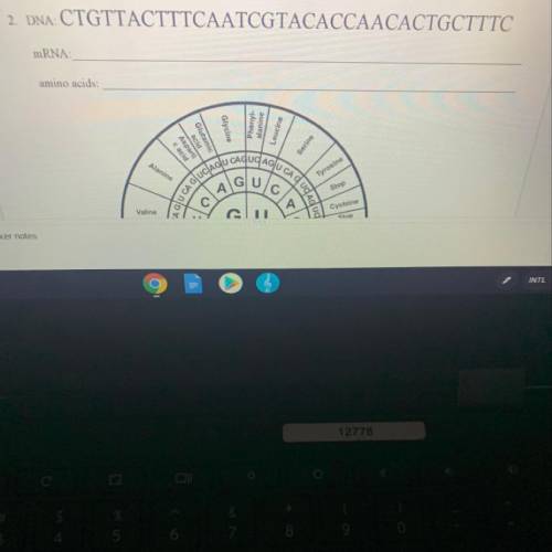 I need to know the mRNA and the amino acids in the sequence