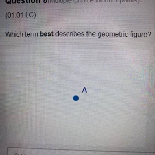 Which term best describes the geometric figure?