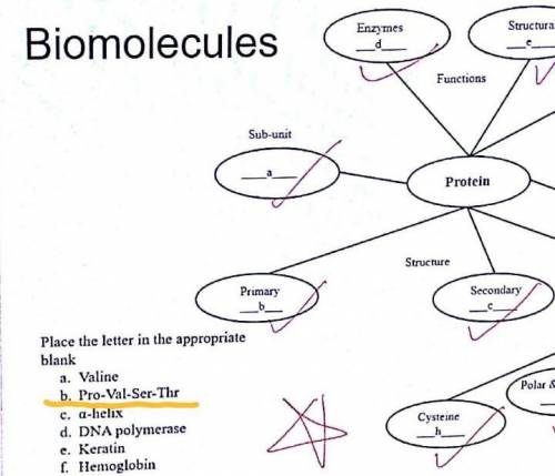(Biomolecules)Hi! Can someone explain what is Pro-Val-Ser-Thr? Please explain thoroughly, thanks :)