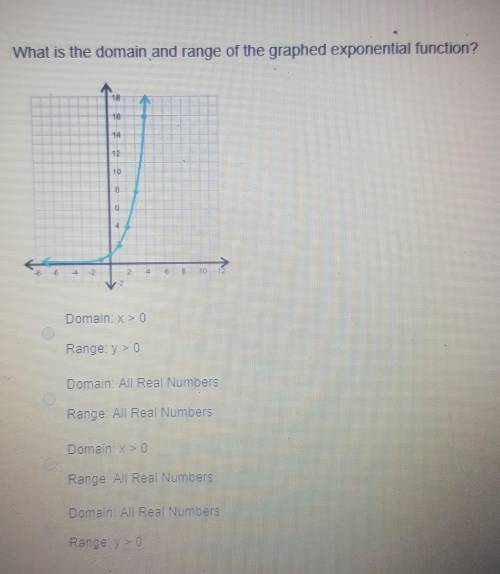 What is the domain and range of the graphed exponential function?