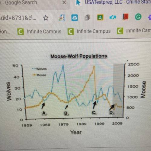 In 1980, the wolf population crashed due to a virus. How many wolves and moose were counted in 1980?