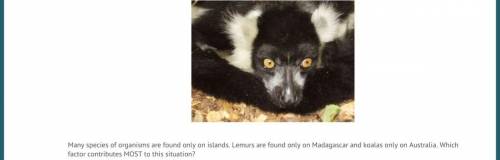 Many species of organisms are found only on islands. Lemurs are found only on Madagascar and koalas
