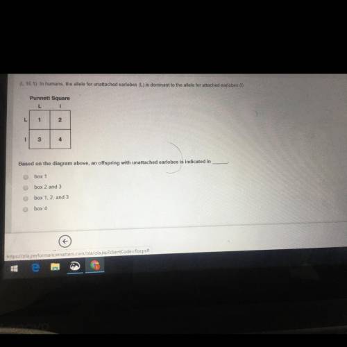 Can i get some help with this question