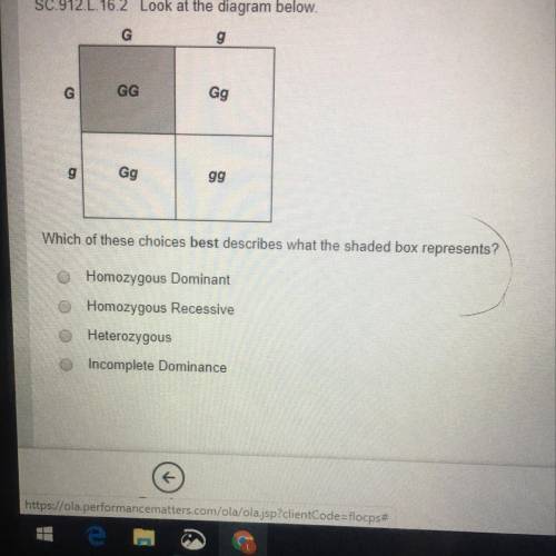 Can i please get some help with this