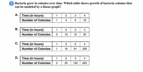 Bacteria grow in colonies over time. Which table shows growth of bacteria colonies that can be model
