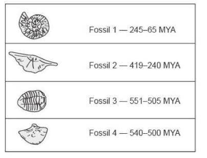 A fossil species is found in the same rock layer with Fossil 3 and Fossil 4. When could this species