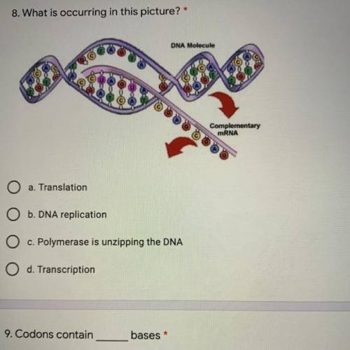 What is occurring in this picture (DNA, RNA related)