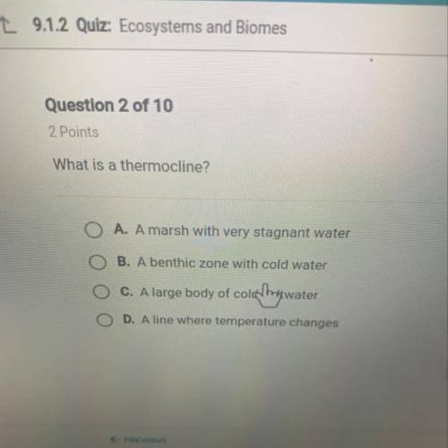 What is a thermocline