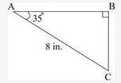 The figure below shows a triangular piece of cloth: What is the length of the portion BC of the clot