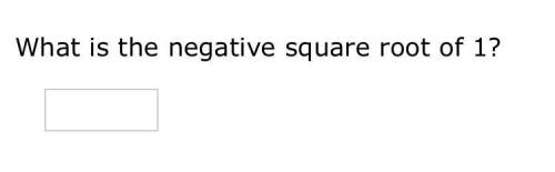 What is the negative square root of 1