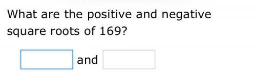 What are the positive and negative square roots of 169?????