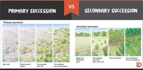 Use the diagram below to explain the difference between primary and secondary succession and give an