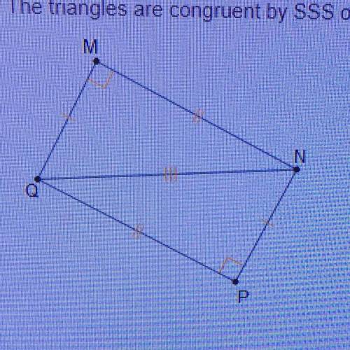 The triangles are congruent by SSS or HL Which transformation(s) can map MNQ onto PQN Translation on