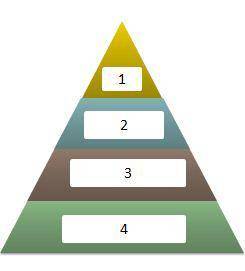 The level of elevation zone pyramid below that is labeled with the number one should be titled _____