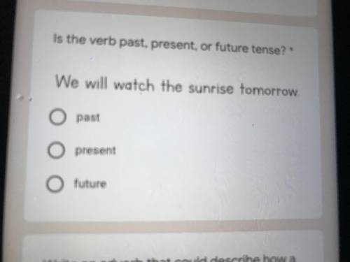 Is the verb past present or future tense? We will watch the sunrise tomorrow