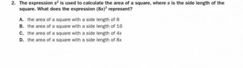 What is the correct answer? Please show your work on how you got your answer.