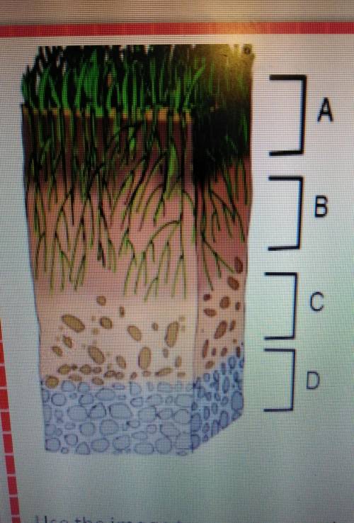 Help with this please identify each of them are shown in the image describe the three soil horizons