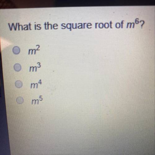 What is the square root of m^6